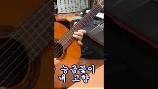 외나무 다리 (최무룡) (가사 출력 원하시면 자막 켜주세요)