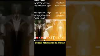 Mulla Muhammed Omar Riyal Video || #taliban #afghanistan