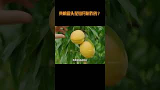 黄桃罐头是如何制作的？#黄桃罐头 #水果罐头