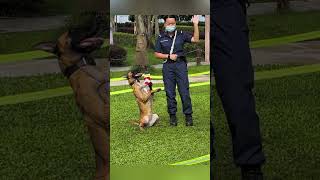 The beautiful female police officer and her dog #beautiful #cops #police #dog #funny #respect #girl