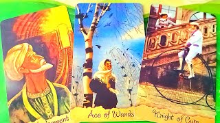 NGOÀI BẠN RA THÌ HỌ CÒN THÍCH HAY CÓ HỨNG THÚ VỚI AI NỮA KHÔNG/ TAROT READING