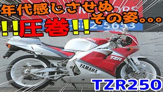 ■シイナモータース船橋店　スーパースポーツ館■ヤマハ　ＴＺＲ２５０　５１１１６　３ＭＡ　後方排気　倒立フロントフォーク　フルノーマル