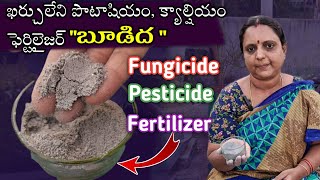 బూడిద మొక్కలకు ఎలా వాడాలి | wood ash for plants | wood ash fertilizer | wood ash in terrace garden