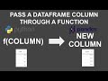 Pass a DataFrame Column Through a Function | Python | pandas