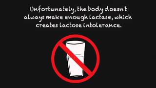 What is the Lactase enzyme?