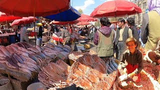 Fish Bazar in Afghanistan | Amazing Fish Market | Biggest Fish Market In Kabul