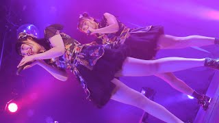 【EOS R5／4K】 わんちゃんいやほい！／元気が出るライブ 20210223 [4K]