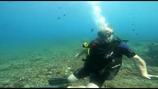 Natha2277 - Diving at Gila Island