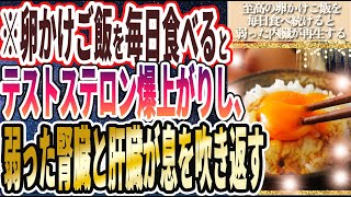 【卵かけご飯】「極上の卵かけご飯を毎日食べ続けると、弱った内臓が息を吹き返して腎臓も肝臓も大喜びする..」を世界一わかりやすく要約してみた【本要約】