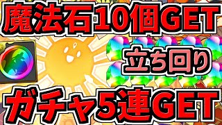 【魔法石10個】ガチャ5連もGET！お正月アテンカップ立ち回り解説！虹メダルなども！8人対戦！8サク【パズドラ】