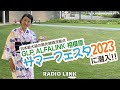 【alfalink presents radio link】2023年8月20日 on air