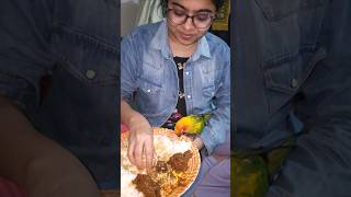 Parrot Bird Eating Dinner #shorts