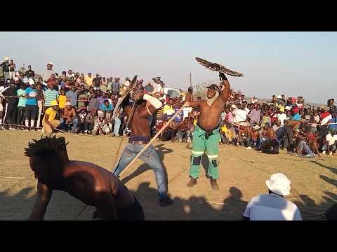 Dikoma Tsa Bush Ga Mahlake Youtube