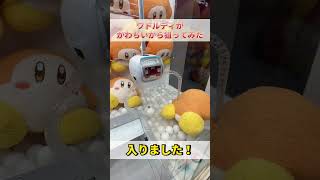 【クレーンゲーム】ワドルディのぬいぐるみが可愛いから狙ってみた！星のカービィ ワドルディふわふわもっとBIG#Shorts #クレーンゲーム