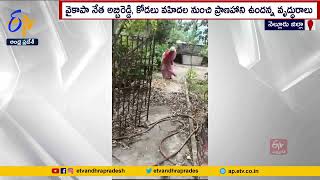 వృద్ధురాలి ఆస్తి కాజేసేందుకు కోడలి యత్నం | old Woman's Property | Kothuru