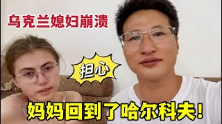 丈母娘突然回到哈爾科夫，烏克蘭媳婦崩潰大哭！到底發生了啥？