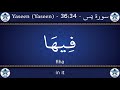 Learn Surah Ya-Sin Word By Word in English Translation + Arabic Transliteration