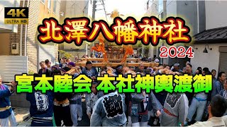 【北澤八幡神社】例大祭2024 宮本睦本社神輿渡御 大迫力！熱狂に包まれ神輿が街を揺るがす！