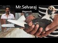 Mr.Selvaraj (Nagercoil) Part - 1