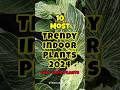 Most trendy indoor plants in 2024 / easy care houseplants #short #houseplants #love #trend