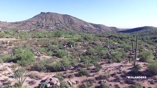 Saguaro Forest Lot 272