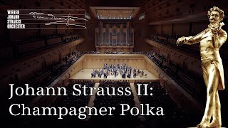 🎻 Johann Strauss II: Champagner Polka op  211  | #NYC2024 | #NewYearsConcert | WJSO_at ♪♫