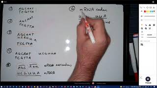Lab 2 Exercise 10 instructions
