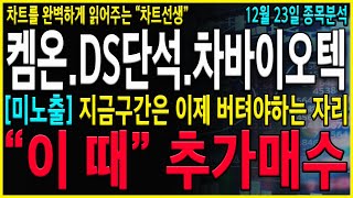 [코아스템켐온 DS단석 차바이오텍 주가전망] \