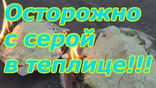 ОБРАБОТКА ТЕПЛИЦЫ СЕРОЙ - БУДЬТЕ ОСТОРОЖНЫ!