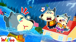 Wolfoo Learns Weather and Natural Disasters - Outdoor Safety Tips for Kids 🤩 Wolfoo Kids Cartoon