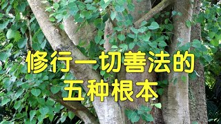 修行一切善法的五种根本   ~圣开导师  著 述 《法雨缤纷》  [唯佛宗世界人乘佛教]