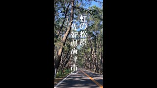 虹の松原🌈in佐賀県　唐津市