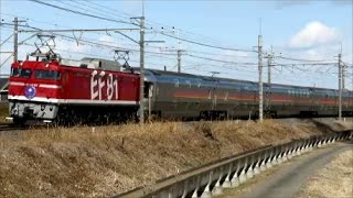 [FHD]JR東日本・東北本線：東鷺宮～栗橋駅間、EF81形+E26系/■団体臨時列車■『カシオペア紀行号』通過シーン。