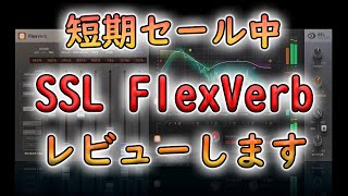 【SSL FlexVerbレビュー】使用感や感想を正直に話します