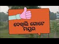 ଦେଖିଲି ସୁନ୍ଦର ମୟୂର ଟିଏ।। shorts viral bird vlog. jbindiaentertainment.