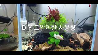 DIY 고압이탄 사용량(베타어항,betta)