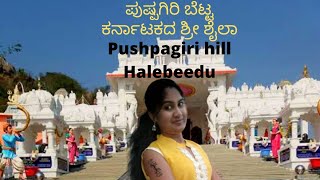 Pushpagiri Shri Mallikarjuna temple | Halebeedu | #hassan