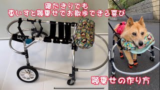 【寝たきりの車椅子犬ルーさん】歩行不能から一歩ずつ前進させてくれた顎乗せの作り方♪老犬介護♪