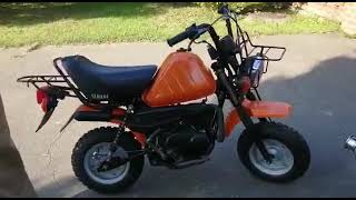 Honda Monkey!!!  Yamaha qb50 Vogel !!!