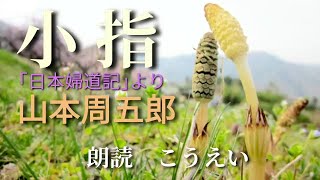 小指　作：山本周五郎　朗読：こうえい