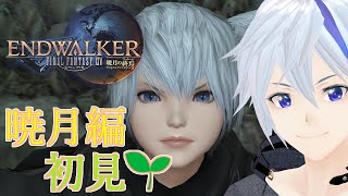 【FF14】終末へと向かう世界を救う新人ヒカセンの物語！ 暁月編その1【雨音緋天/新人Vtuber】