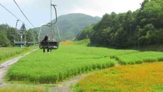 長野県・治部坂高原