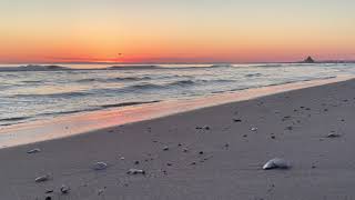 Sonnenaufgang auf Usedom