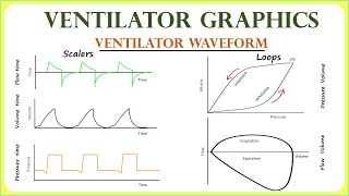 Ventilator waveform (full video)#mechanicalventilation #anesthesiology #criticalcaremedicine