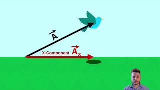 X and Y Components of Vectors - IB Physics