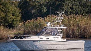 Gulf Coast Yacht Group- 2005 30' Rampage Walkaround- Mad Dash