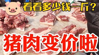 猪肉变价太吓人，看2月27日集市上卖多少钱一斤？大吃一惊~带你们看每天中国菜市场物价【茉茉妈vlog】