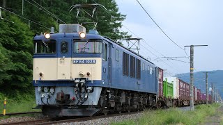 JR貨物 EF64-1028牽引 81ﾚ A81 (稲沢⇒南松本) JR中央西線 洗馬～塩尻 区間