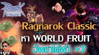 Ragnarok Classic หาผลไม้สัก 100 ลูกอัพเกรด โด้ฟ้า