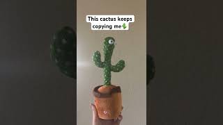 This Cactus Keeps Copying Me Shorts